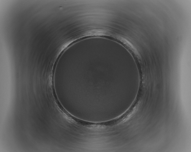 X0000111201081200907081237