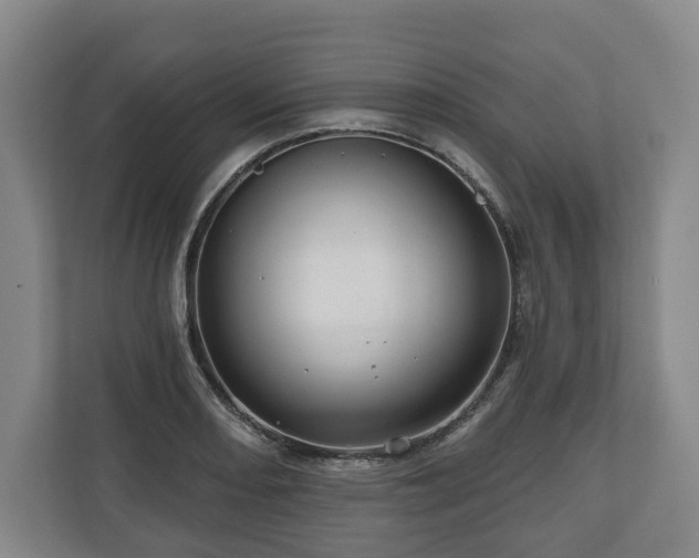 X0000111201082200907081237