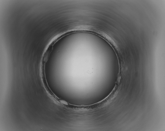 X0000111201085200907081237