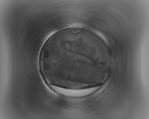 X0000111201087200907081237