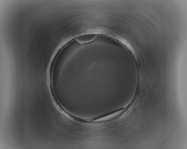 X0000111201088200907081237