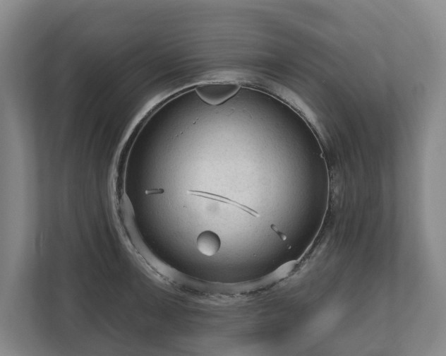 X0000111201091200907081237