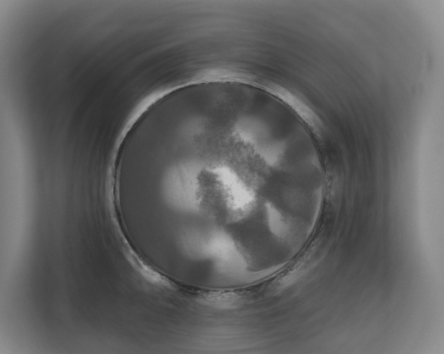 X0000111201094200907081237