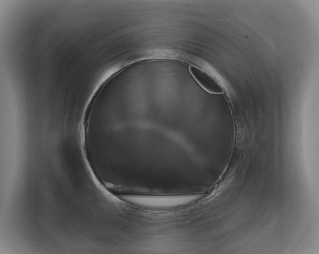 X0000111201095200907081237