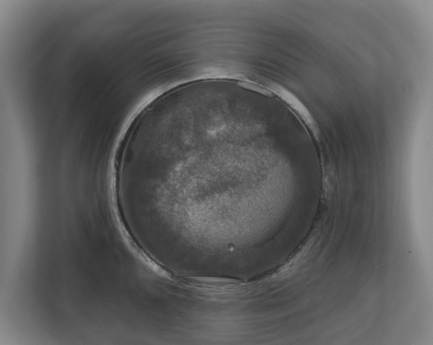 X0000111201096200907081237