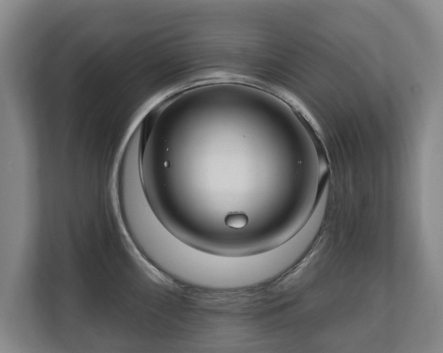 X0000111201098200907081237