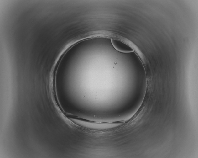 X0000111201099200907081237