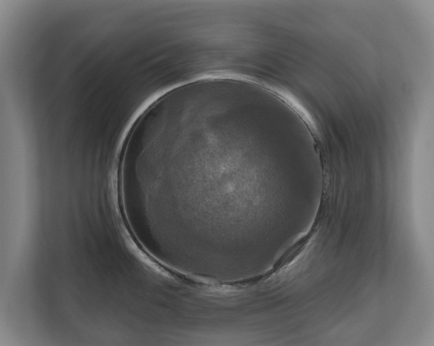 X0000111201100200907081237