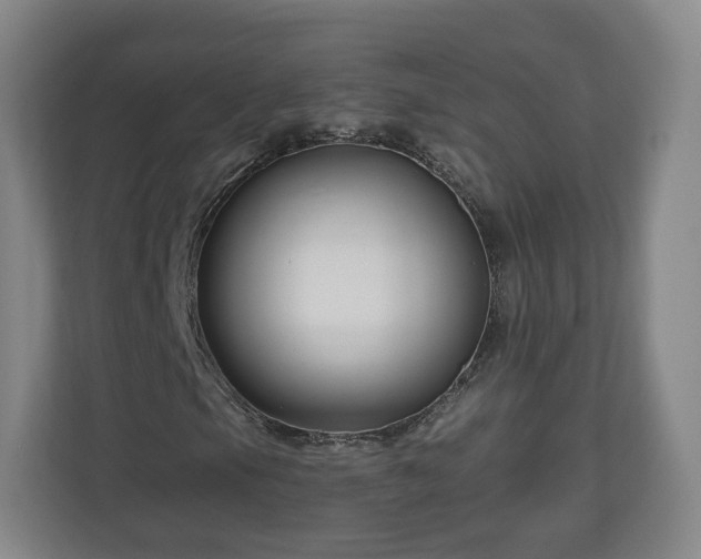 X0000111201105200907081236