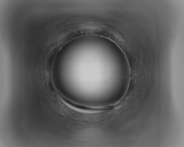 X0000111201109200907081236