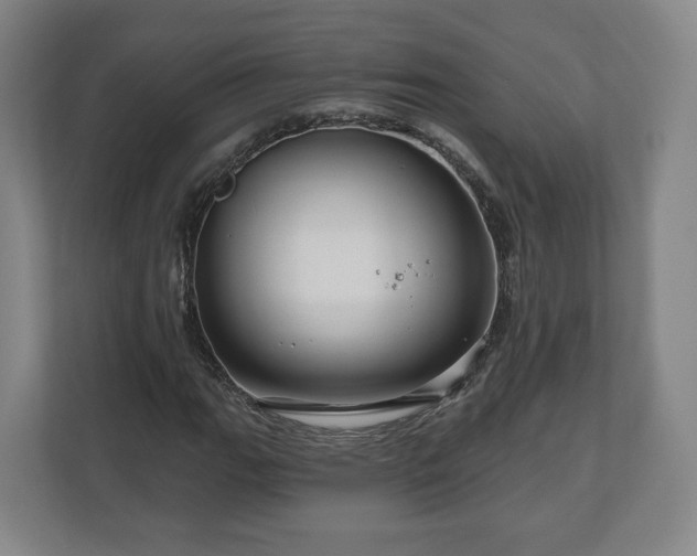 X0000111201111200907081236