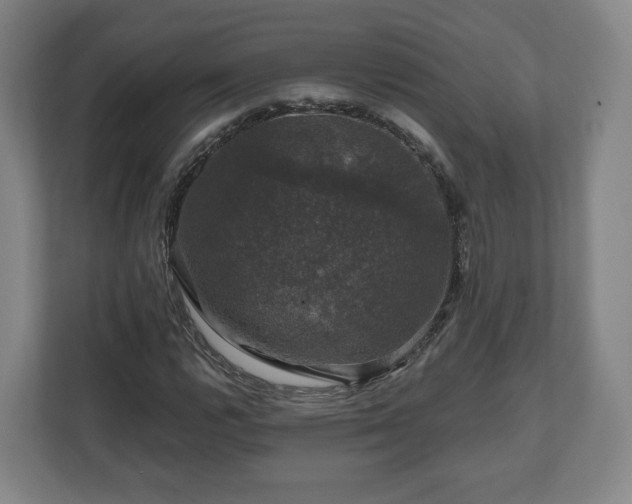 X0000111201112200907081236