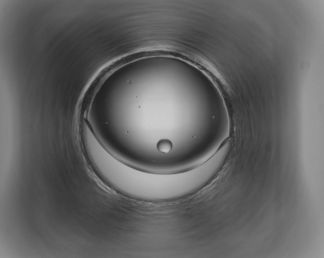 X0000111201116200907081236