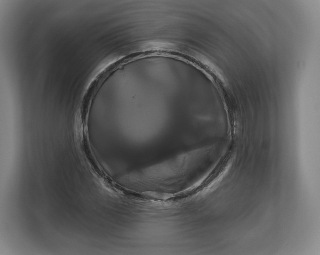 X0000111201117200907081236