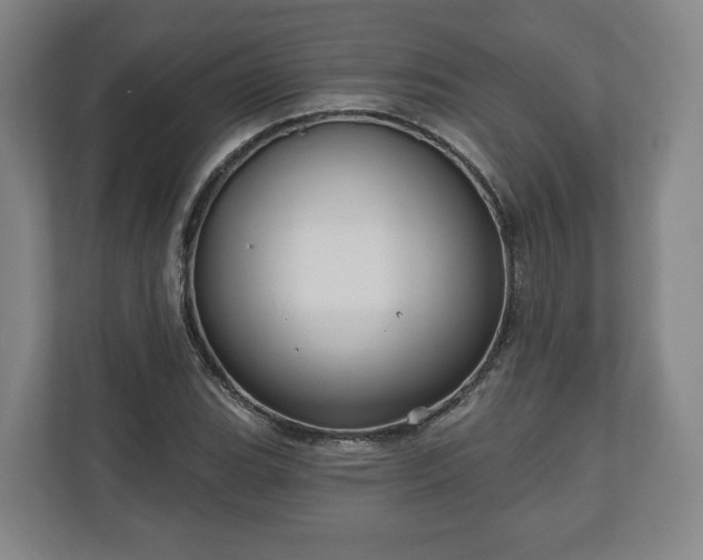 X0000111201119200907081236