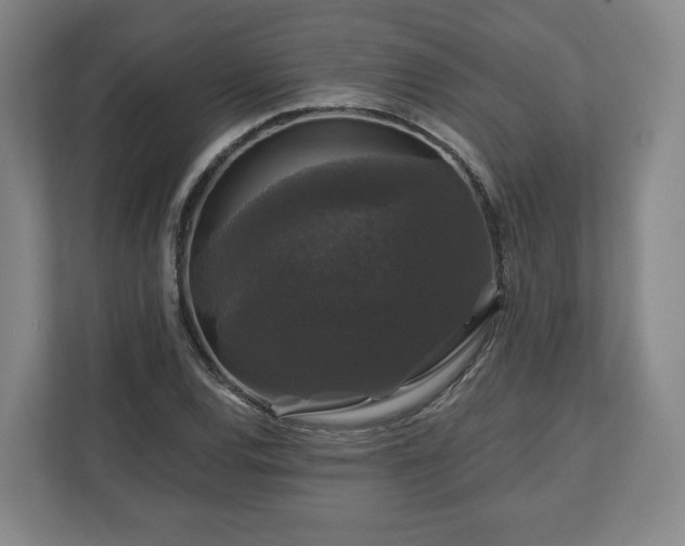 X0000111201120200907081236