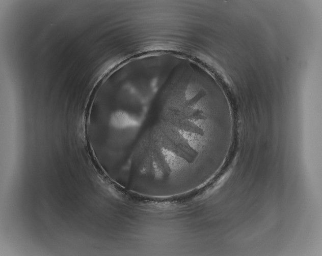 X0000111201121200907081236