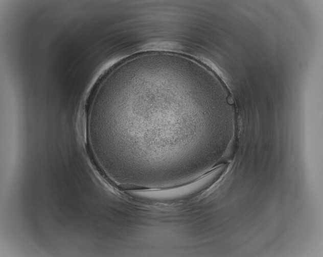 X0000111201123200907081236