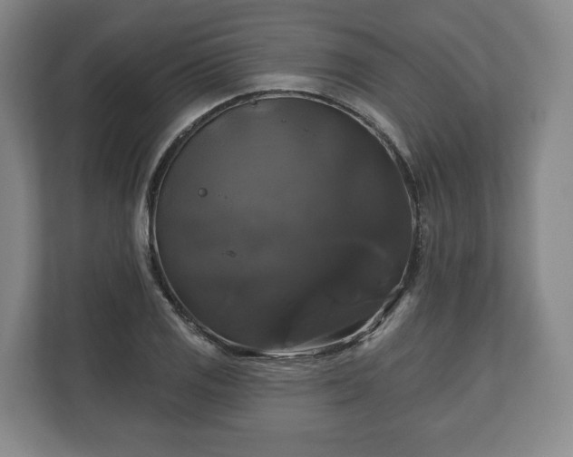 X0000111201125200907081236