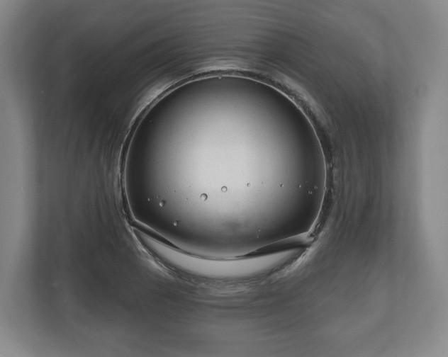 X0000111201129200907081236