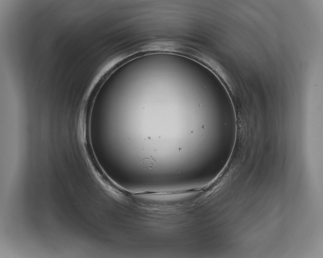 X0000111201131200907081236