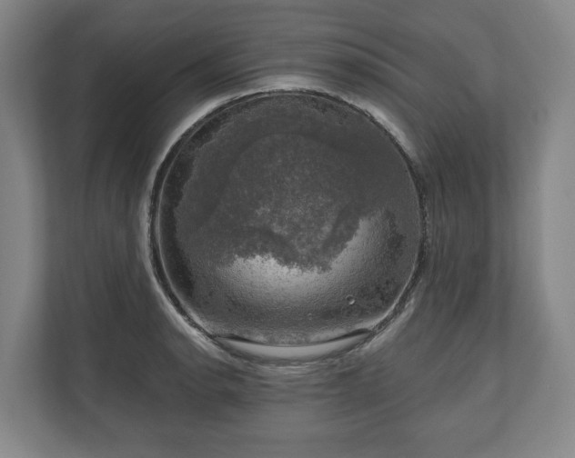 X0000111201134200907081236