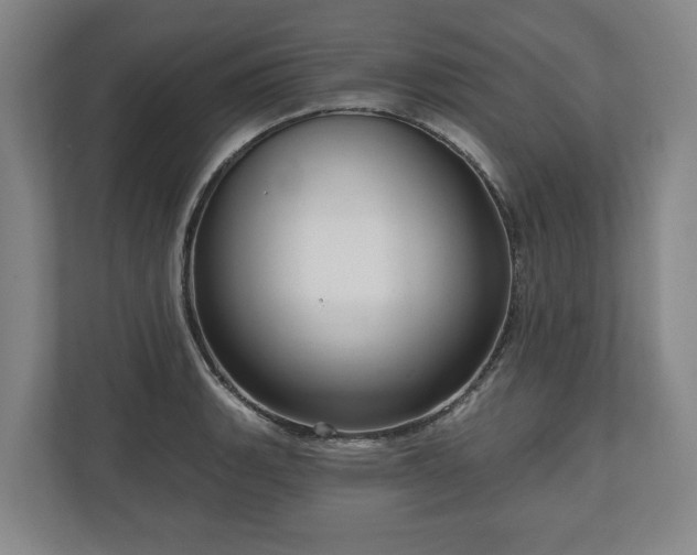 X0000111201135200907081236