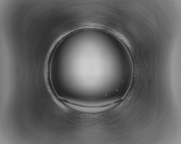 X0000111201136200907081236