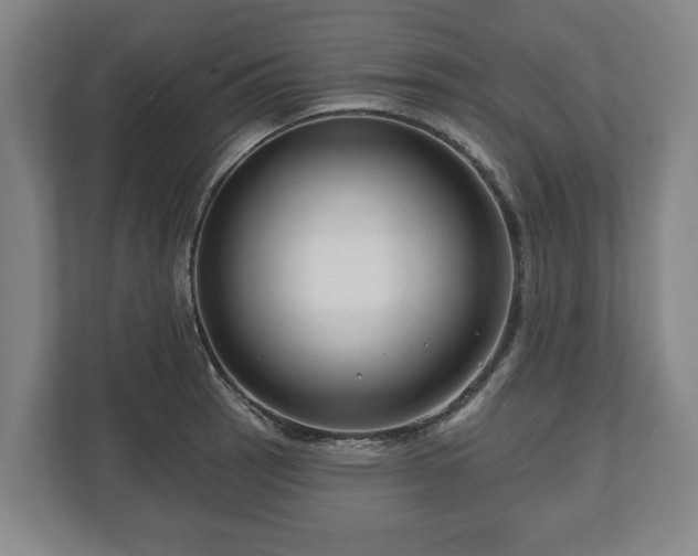 X0000111201137200907081236