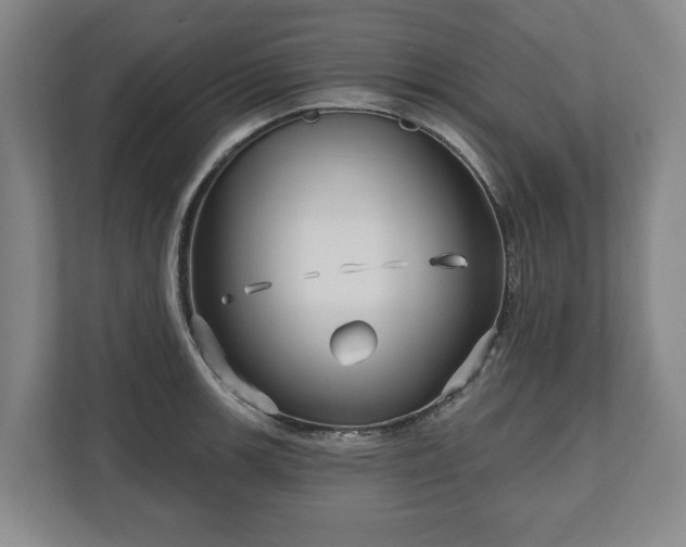 X0000111201139200907081236