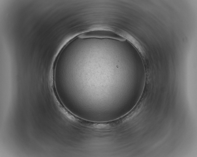 X0000111201140200907081236