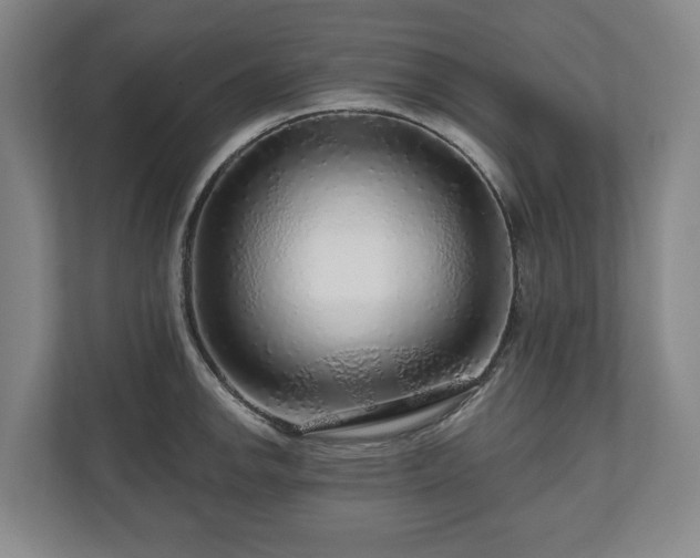 X0000111201142200907081236