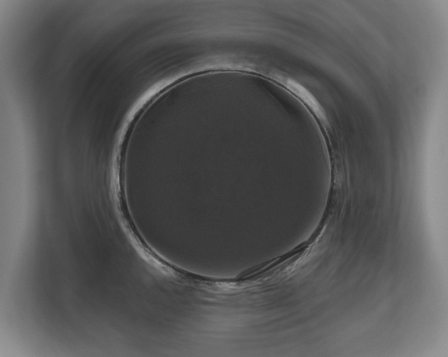 X0000111201144200907081236