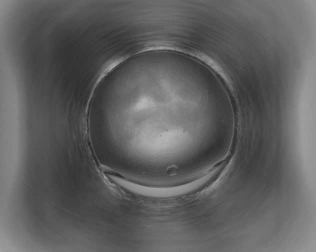 X0000111201145200907081236