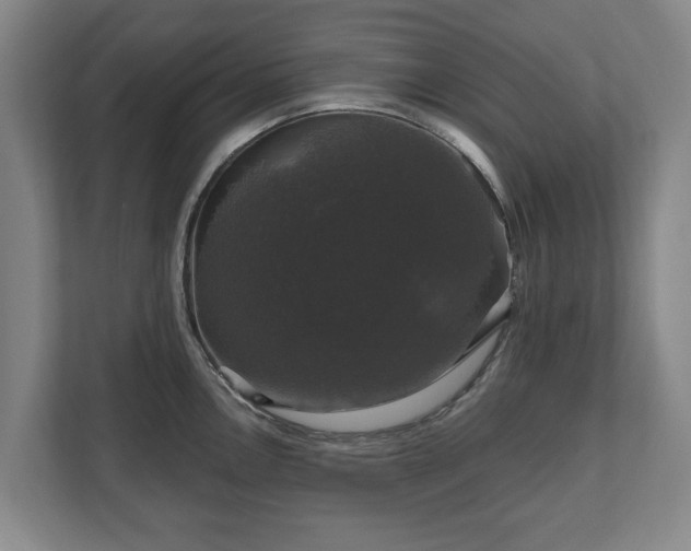 X0000111201146200907081236