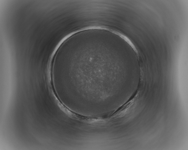 X0000111201148200907081236