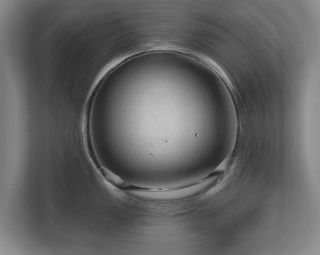 X0000111201149200907081236