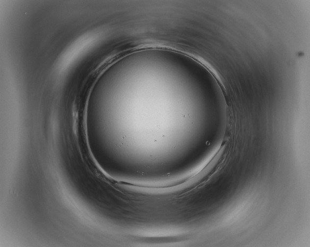 X0000111201151200907081236