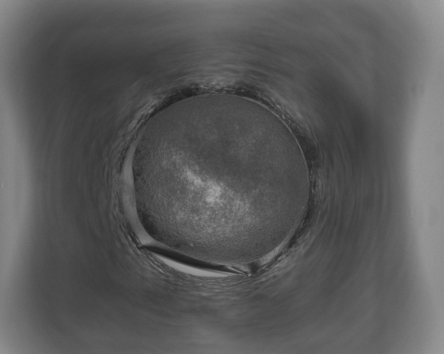 X0000111201153200907081236