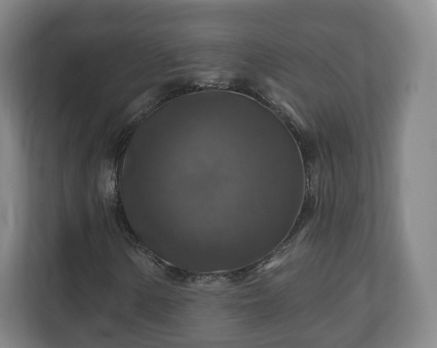 X0000111201154200907081236