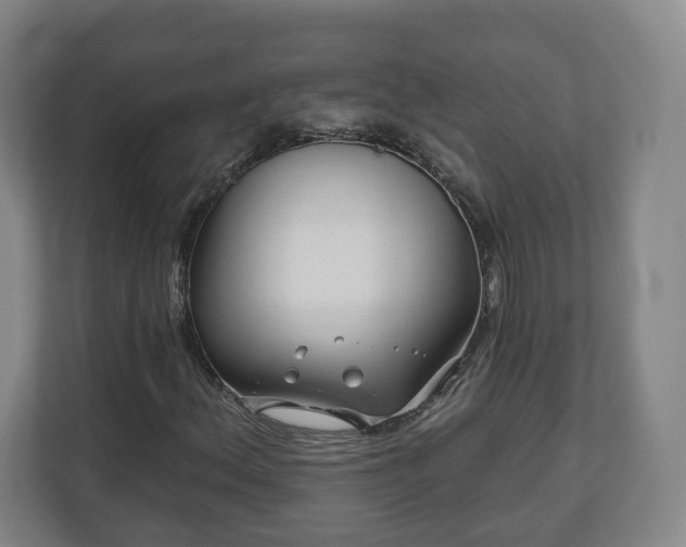 X0000111201156200907081236