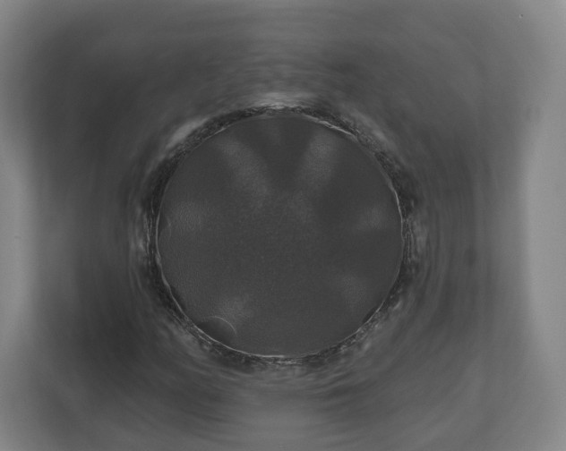 X0000111201158200907081236