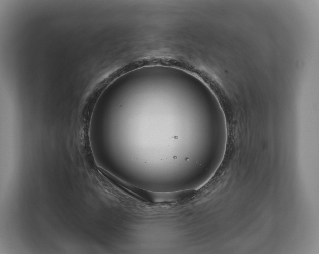 X0000111201159200907081236