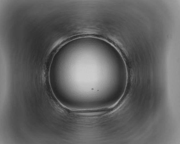 X0000111201163200907081236