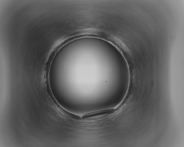 X0000111201164200907081236