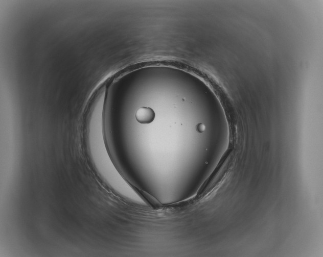 X0000111201165200907081236