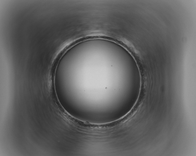 X0000111201167200907081236