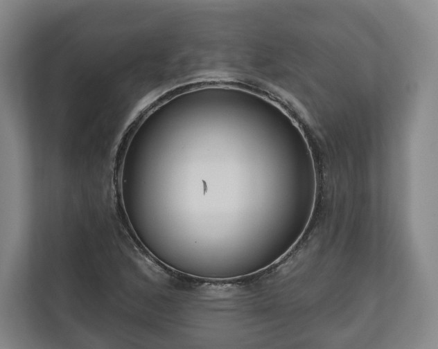 X0000111201168200907081236