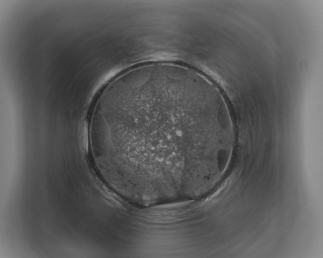 X0000111201171200907081236