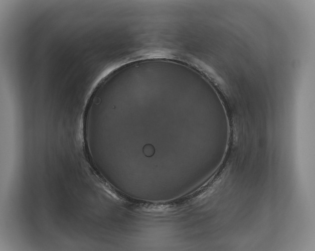 X0000111201174200907081236